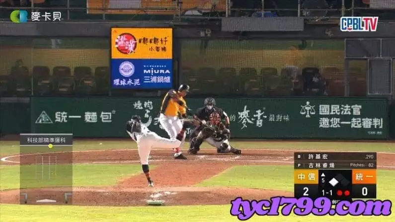 中華職棒直播免費平台
