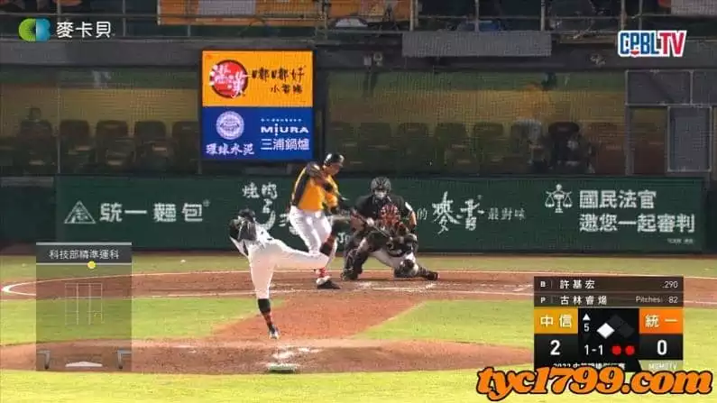 中華職棒直播免費平台