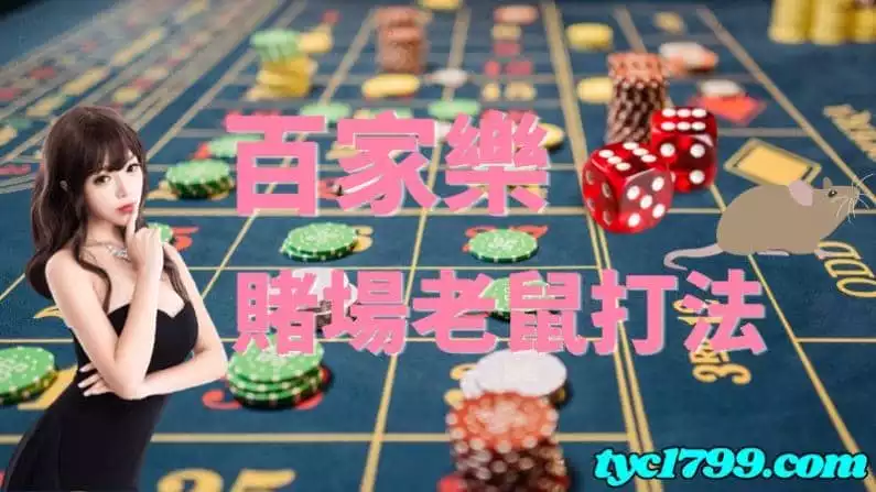 賭場老鼠的打法