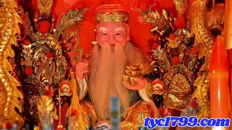 看到蛇號碼539要簽幾號?夢到蛇號碼又代表幾號?