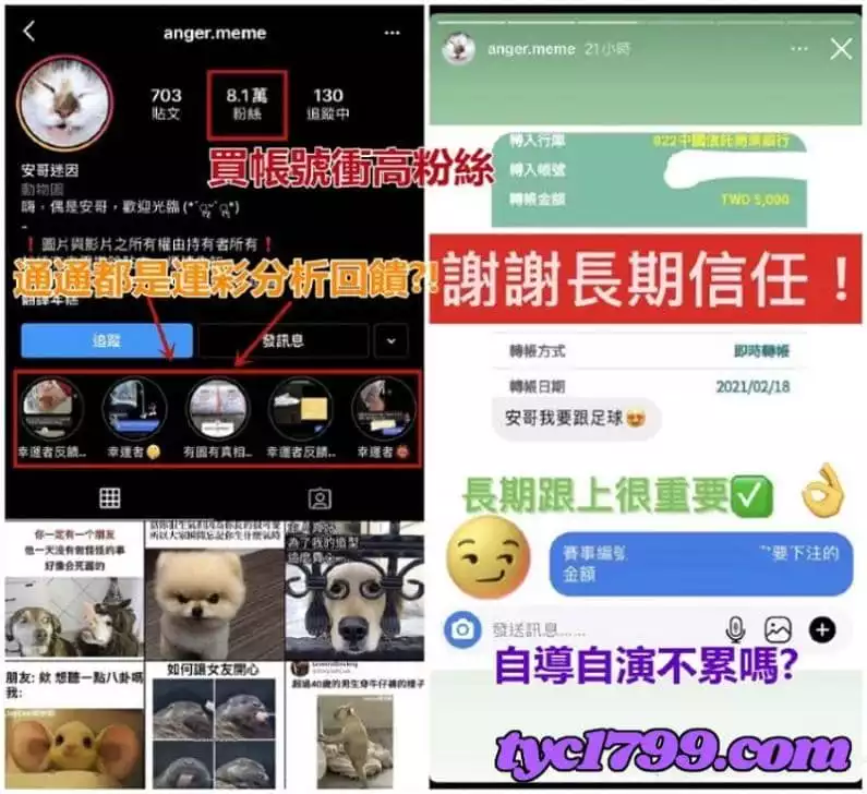 ig運彩分析是真的嗎?