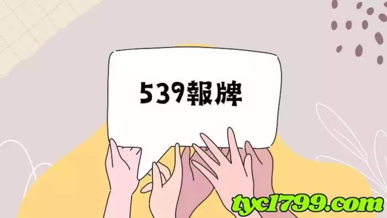 539報牌