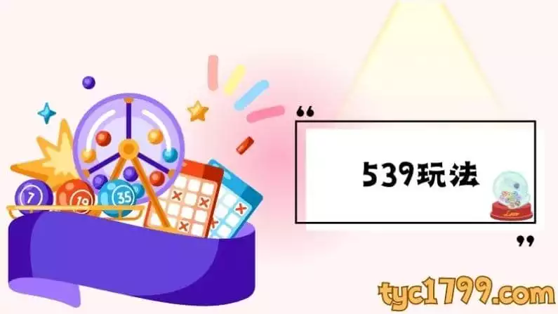 539玩法