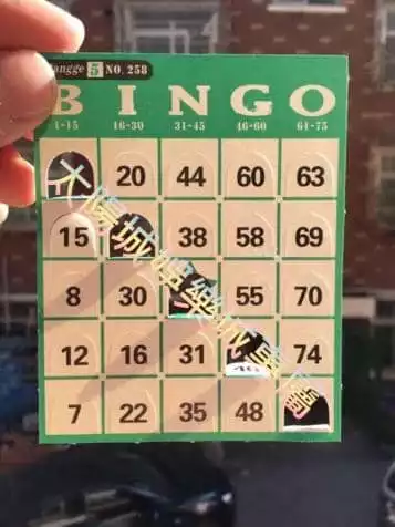 BINGO BINGO 賓果單雙分析！認識賓果賓果入門玩法！