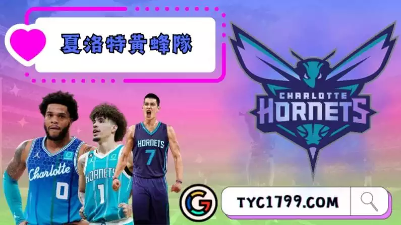 夏洛特黃蜂隊歷史