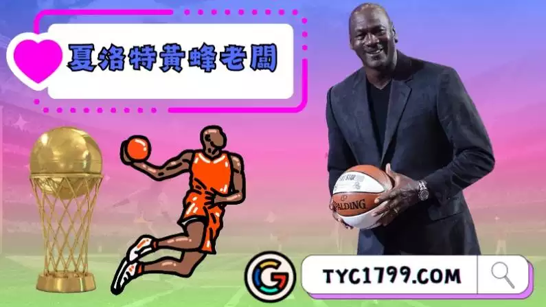 夏洛特黃蜂老闆