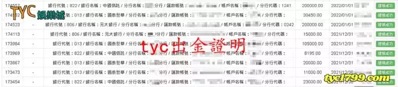 TYC娛樂城出金紀錄證明圖