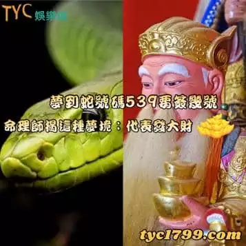 夢到蛇號碼539要簽幾號,命理師揭這種夢境:代表發大財
