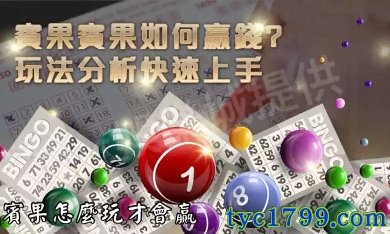 賓果怎麼玩才會贏