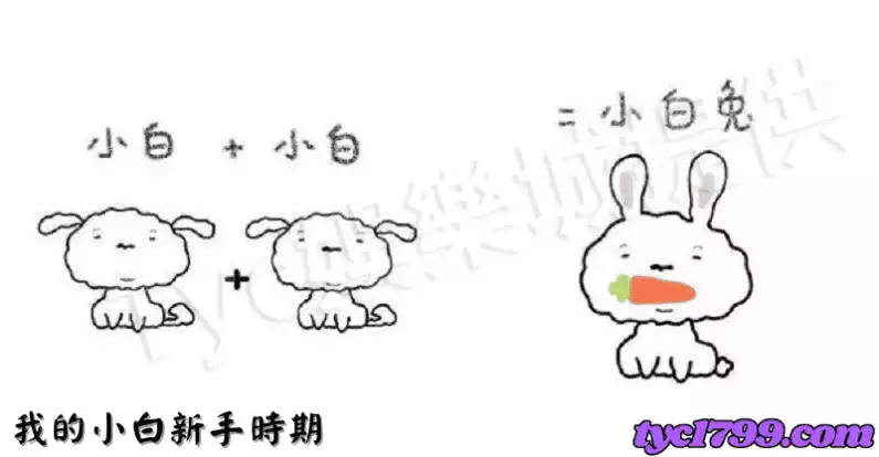 我的小白新手時期: