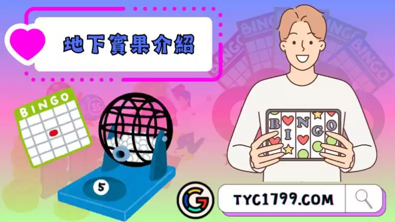 賓果賓果分析