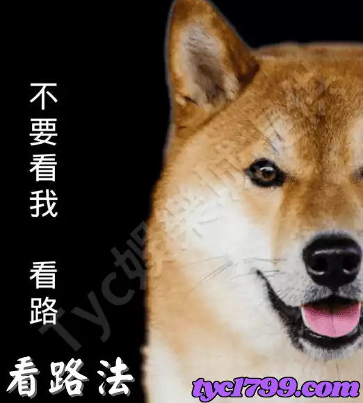 線上百家樂技巧五:之看路法