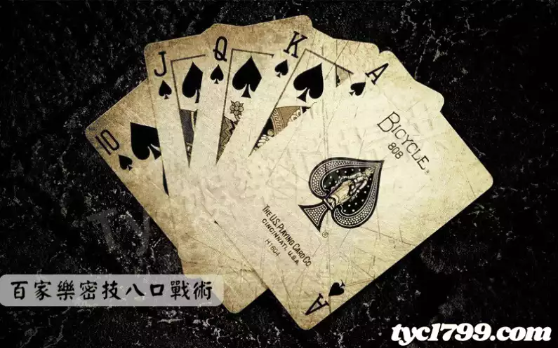 百家樂密技八口戰術