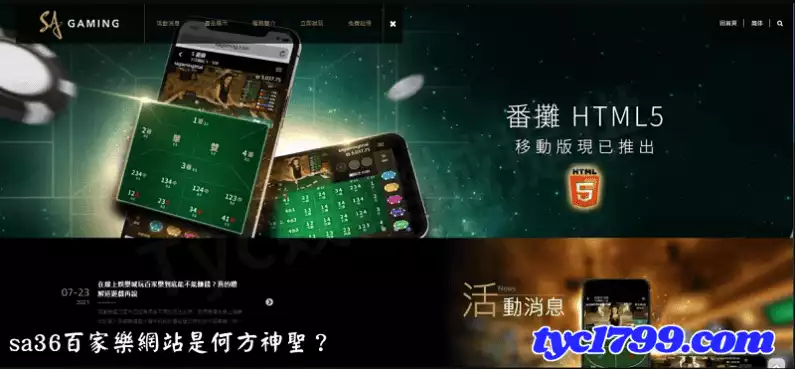 sa36百家樂網站是何方神聖？