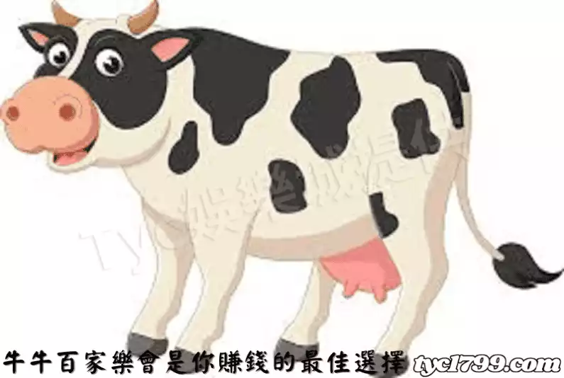牛牛百家樂會是你賺錢的最佳選擇