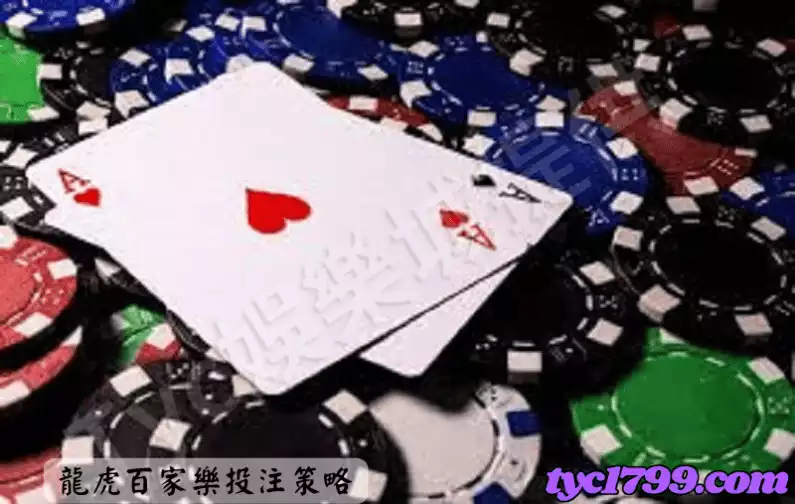 龍虎百家樂投注策略