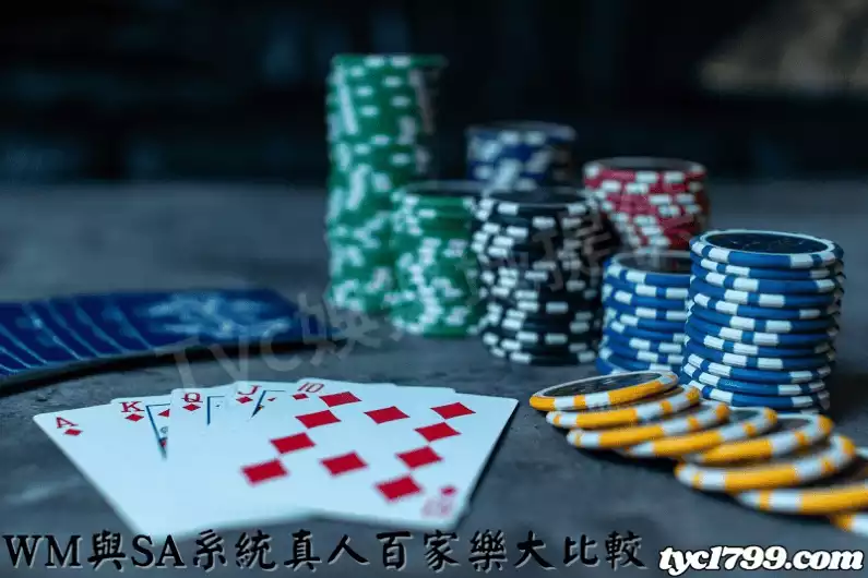 WM與SA系統真人百家樂大比較