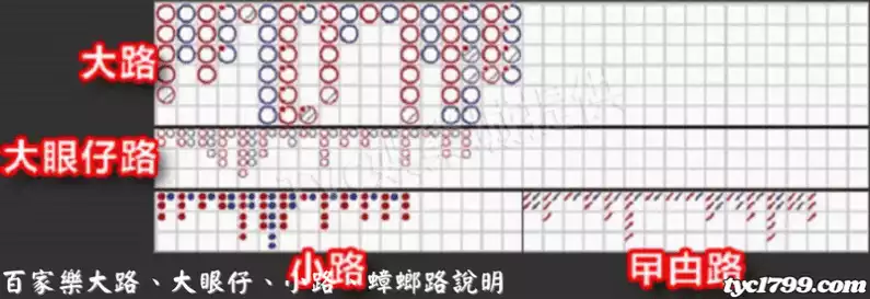 百家樂大路、大眼仔、小路、蟑螂路說明