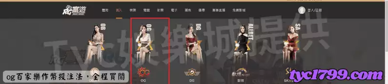 og百家樂作幣投注法,全程買閒