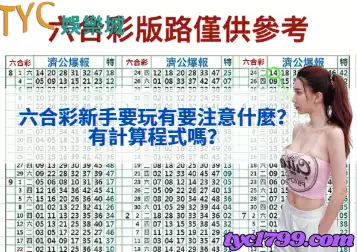 六合彩新手要玩有要注意什麼？有計算程式嗎？