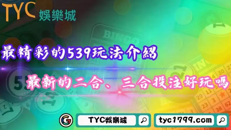 539玩法