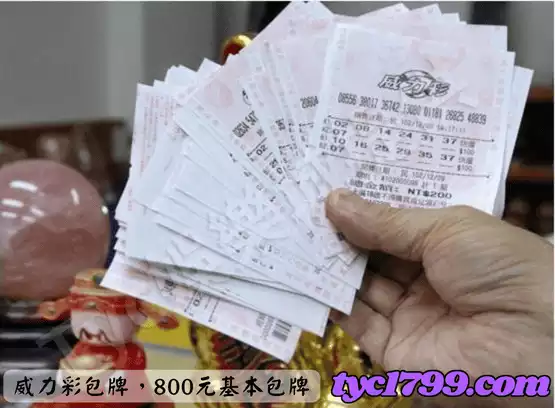 威力彩包牌，800元基本包牌