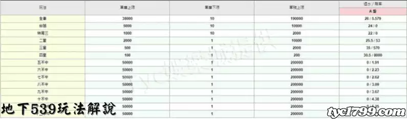 地下539玩法解說