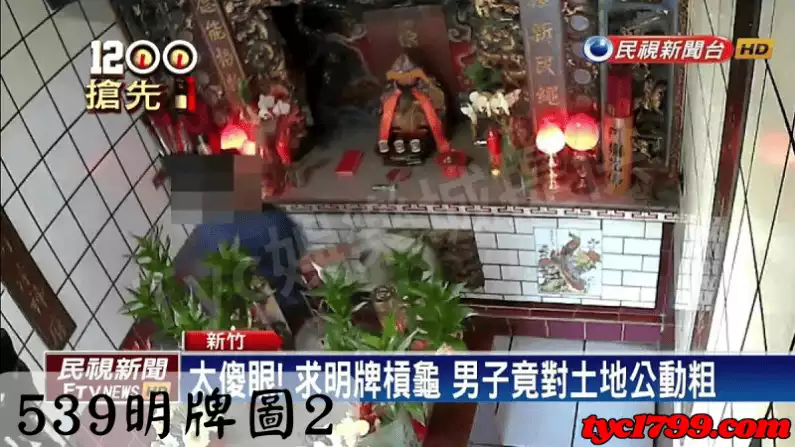 539明牌圖2