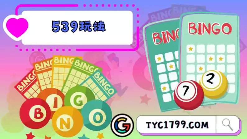 539玩法