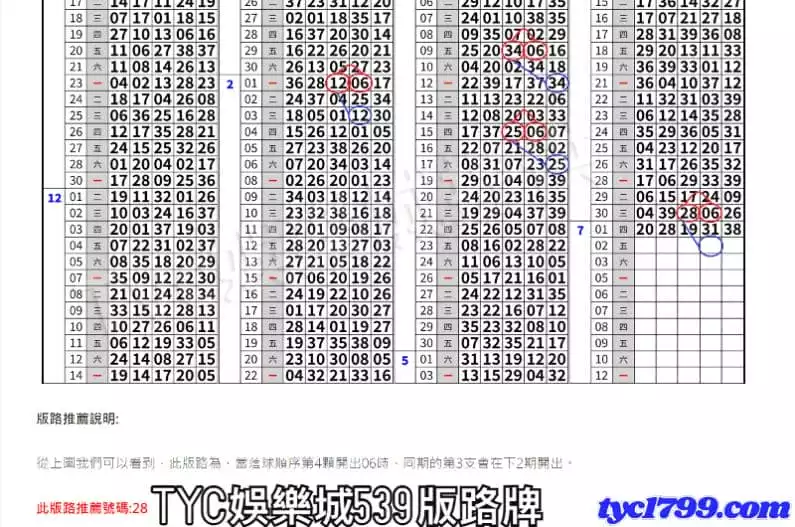 TYC娛樂城539版路牌