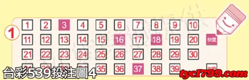 台彩539投注圖4
