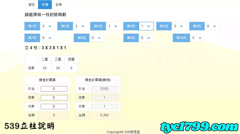 539立柱說明
