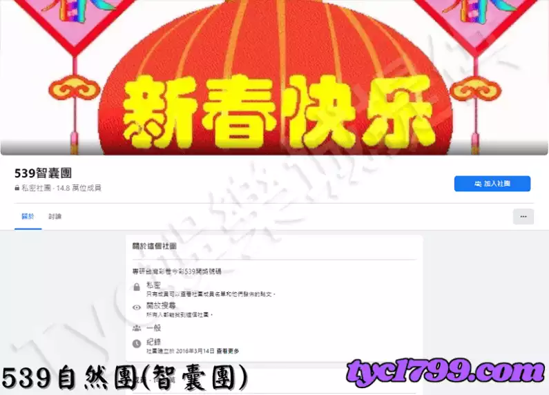539自然團(智囊團)