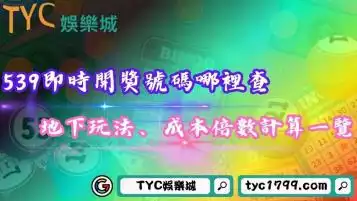 539即時開獎號碼哪裡查？地下玩法、成本倍數計算一覽！