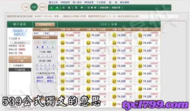 539公式獨支的意思