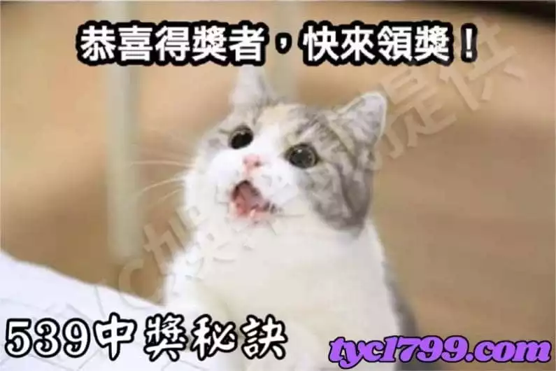 539中獎秘訣
