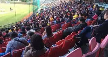 玩運彩/中華職棒開放觀眾進場各隊購票懶人包