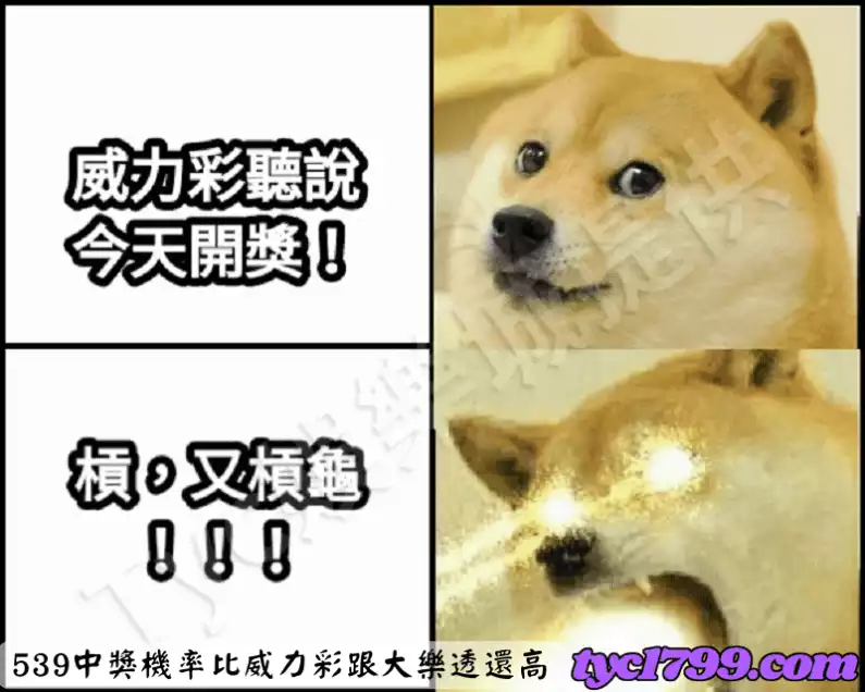 539中獎機率比威力彩跟大樂透還高