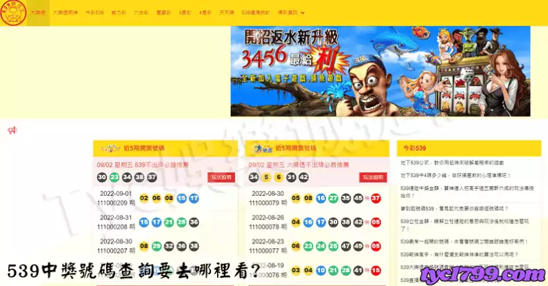 539中獎號碼查詢要去哪裡看?