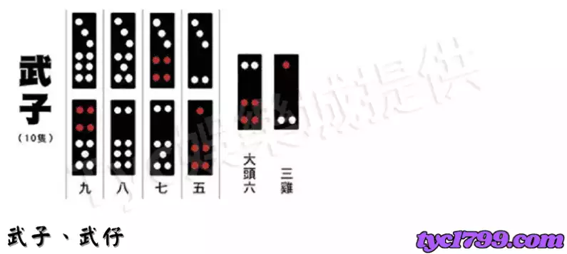 武牌、武仔示意圖