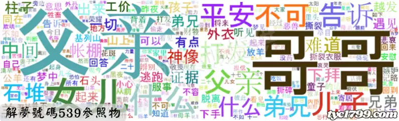 解夢號碼539參照物